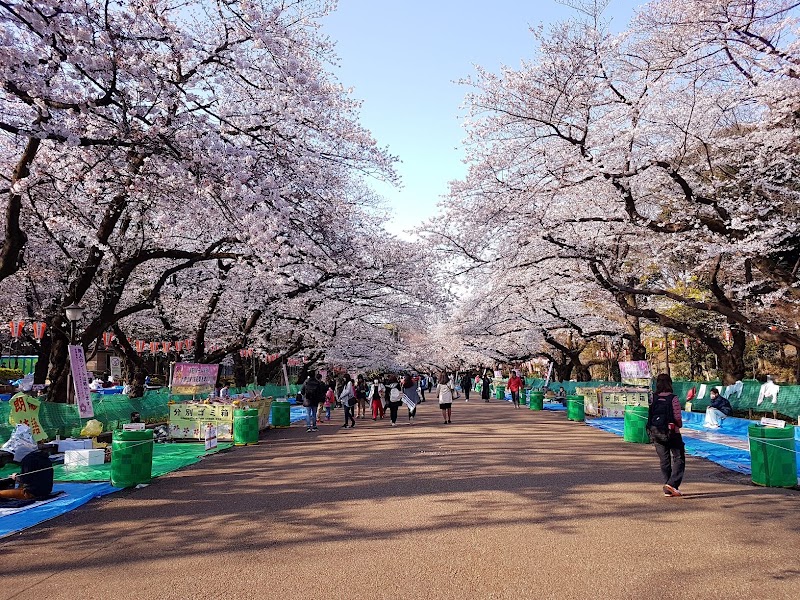 Ueno Park in Ueno, Tokyo