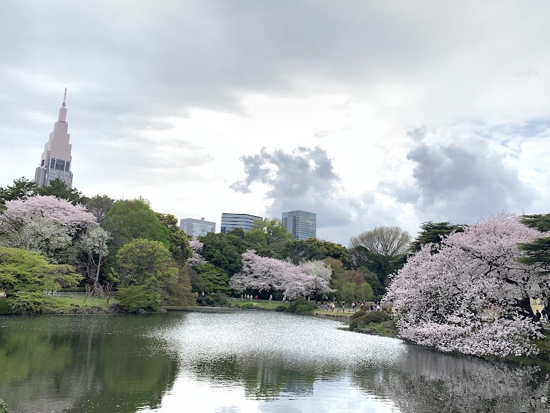 Shinjuku Gyoen in Shinjuku, Tokyo