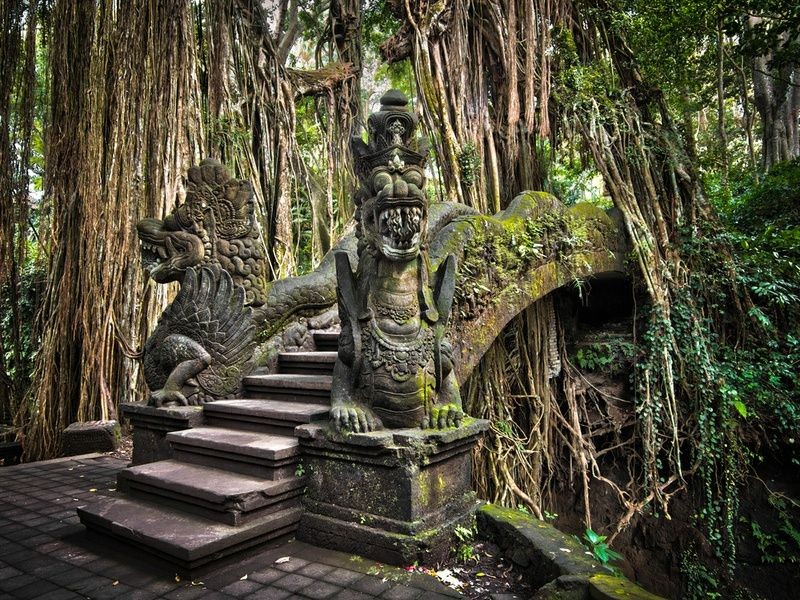 Sacred Monkey Forest in Ubud, Bali