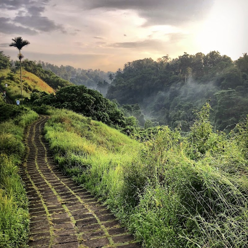 Campuhan Ridge Walk in Ubud, Bali